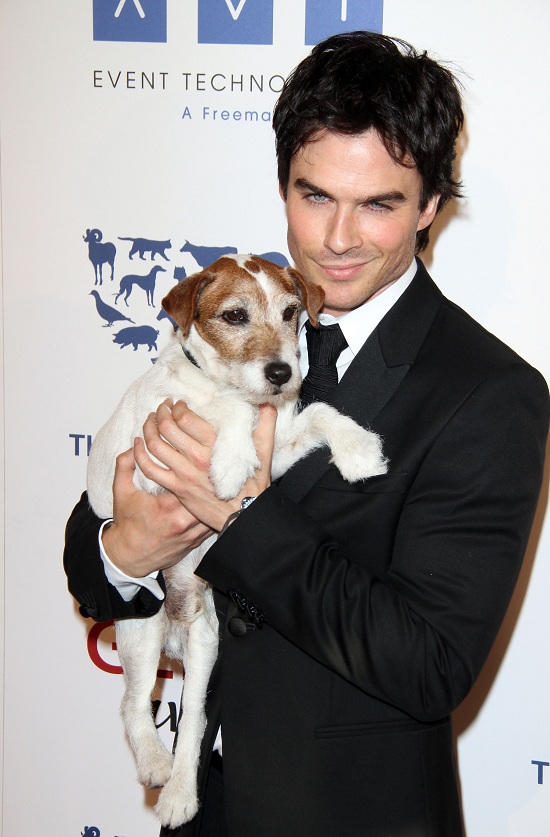 ian-somerhalder-holding-dog.jpg